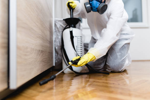 Wasp Removal Services in Union City, TN