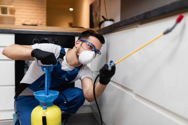 Best Bed Bug Extermination  in Union City, TN