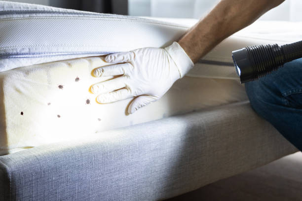 Best Pest Control for Businesses  in Union City, TN