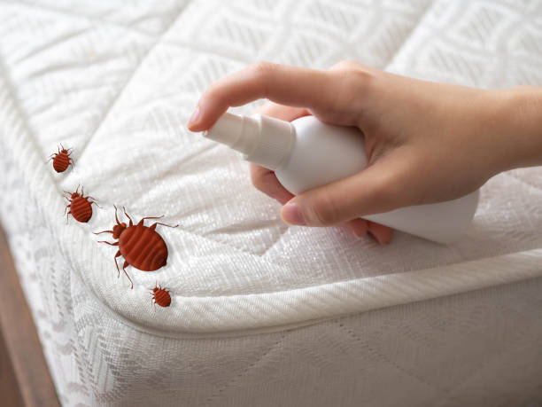 Pest Control for Restaurants in Union City, TN