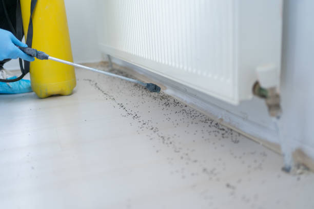  Union City, TN Pest Control Pros