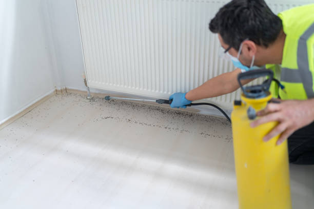 Best Mosquito Control Services  in Union City, TN